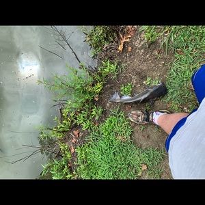 Meet your Posher, Ethan